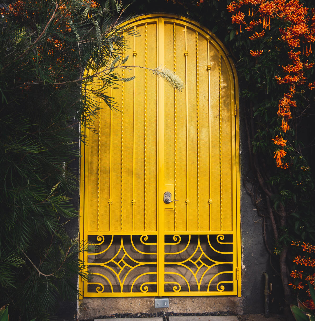 Photo by Matt Flores on Unsplash